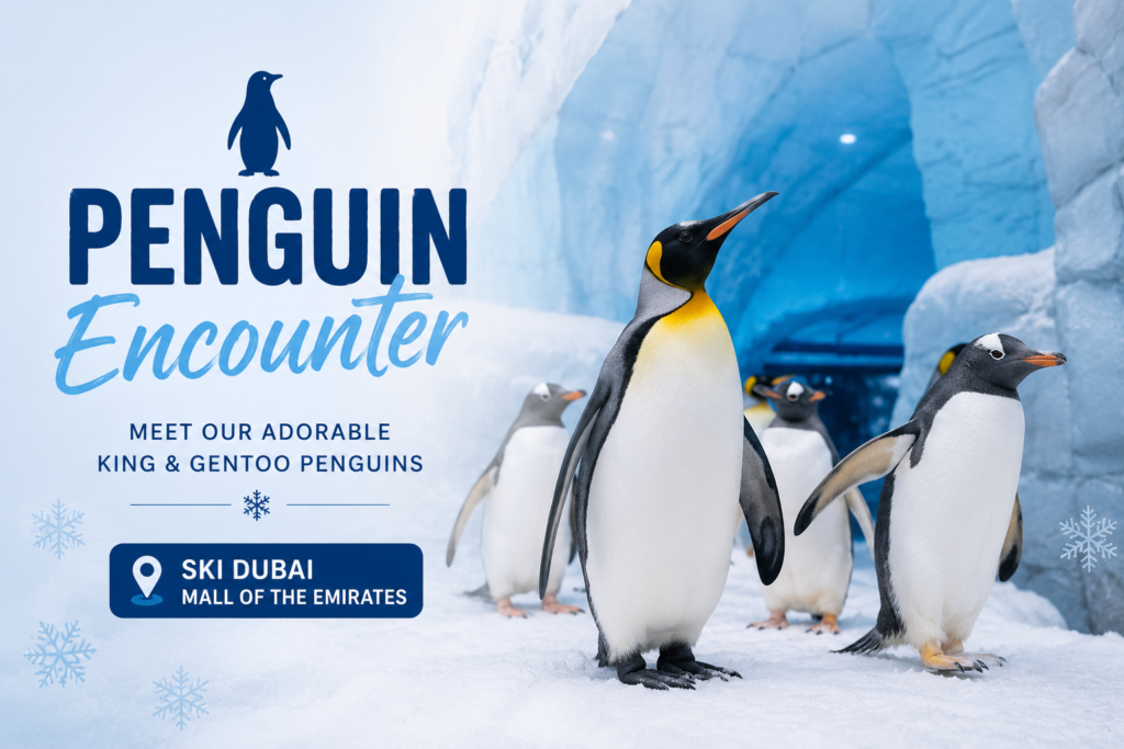 Mall of the Emirates: Complete Guide to Shopping, Dining, Ski Dubai and Entertainment 8 Penguin Encounter