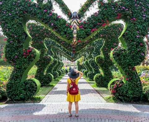 Miracle Garden Dubai: Complete Guide of Floral Wonderland of Dubai 11 butterfly garden