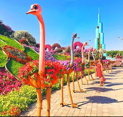 Miracle Garden Dubai: Complete Guide of Floral Wonderland of Dubai 6 animals