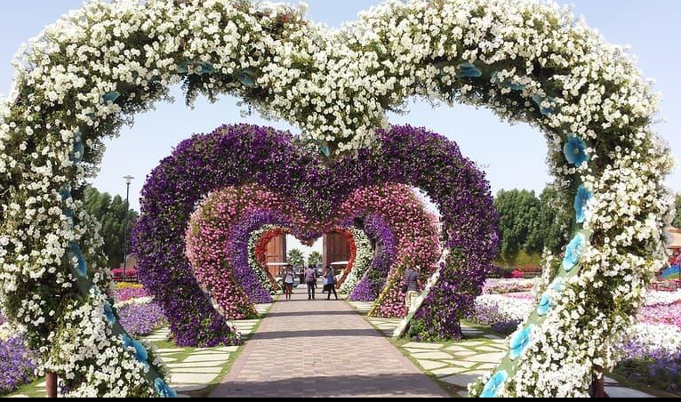 Miracle Garden Dubai: Complete Guide of Floral Wonderland of Dubai 4 flower heart